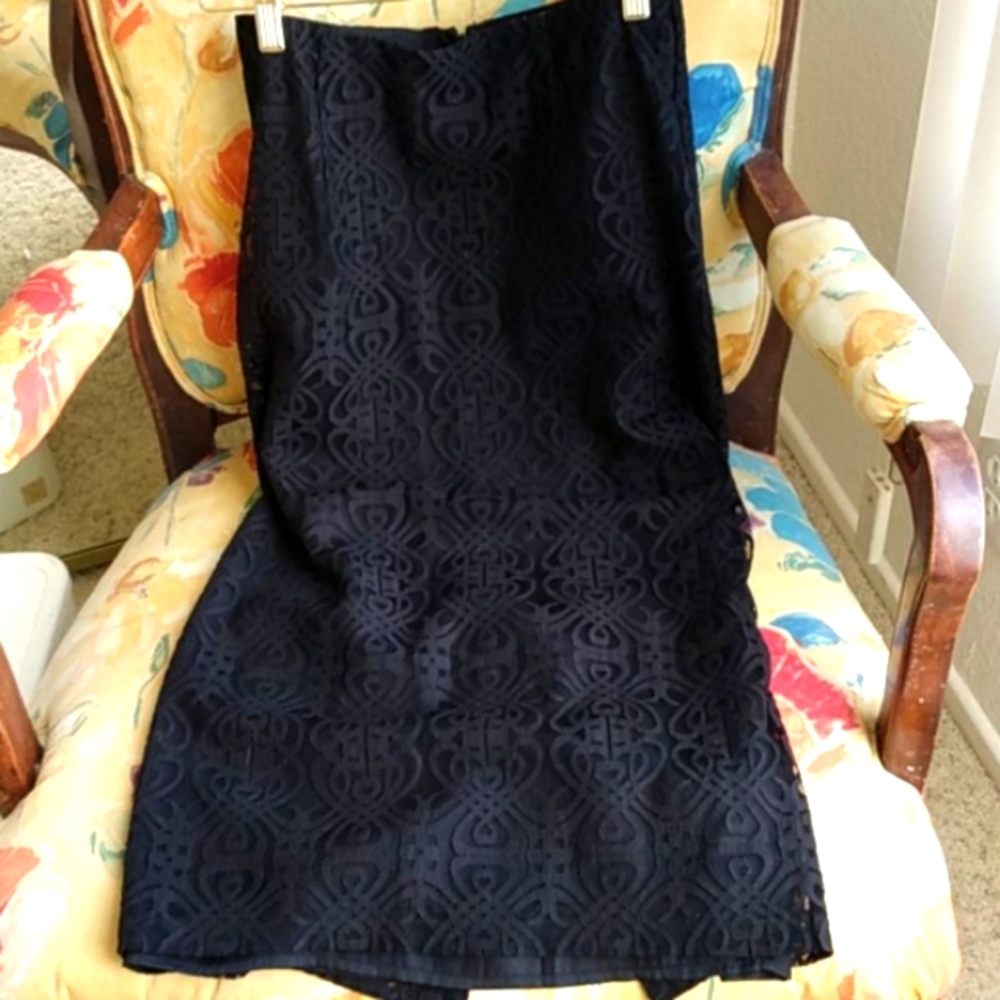 BB Dakota. Black Lace Skirt. Never worn. Sz 4